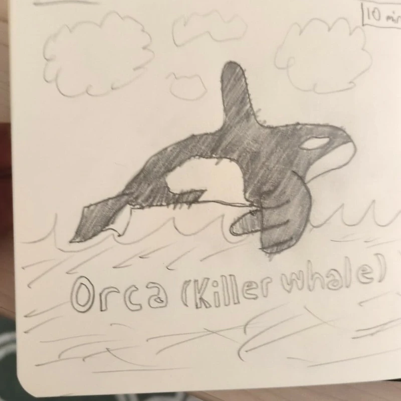 Orca